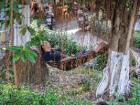 Ruhepause in der Hängematte - My Tho - Vietnam